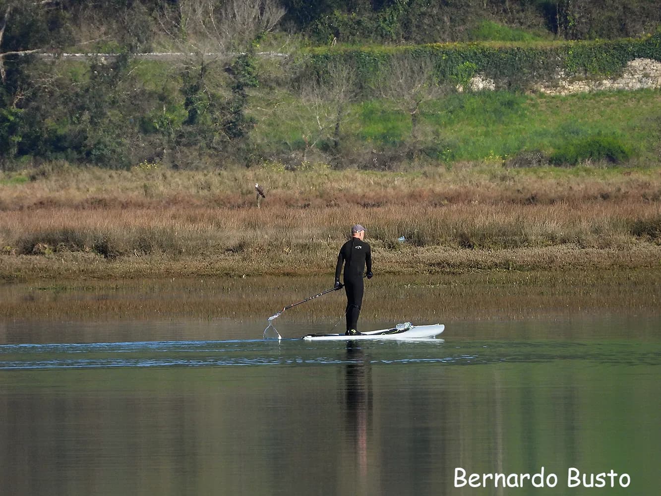 Convivencia en la ría