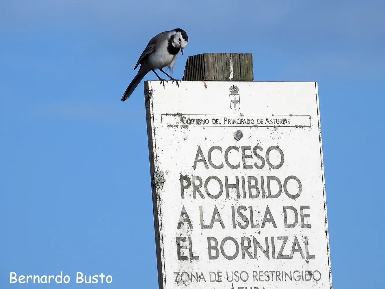 Imagen de la Ría de Villaviciosa