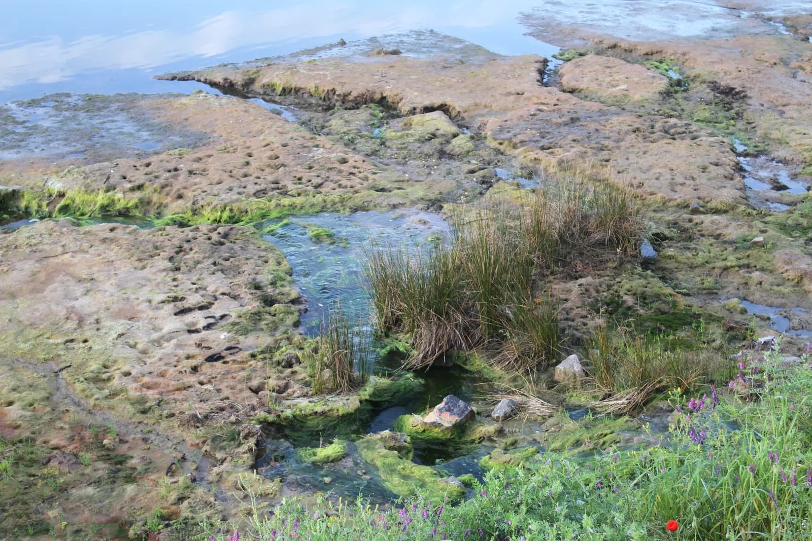 Imagen de la Ría de Villaviciosa