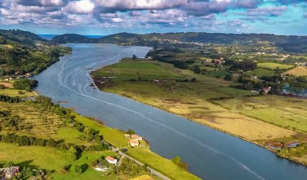 Carta al Presidente del Principado de Asturias