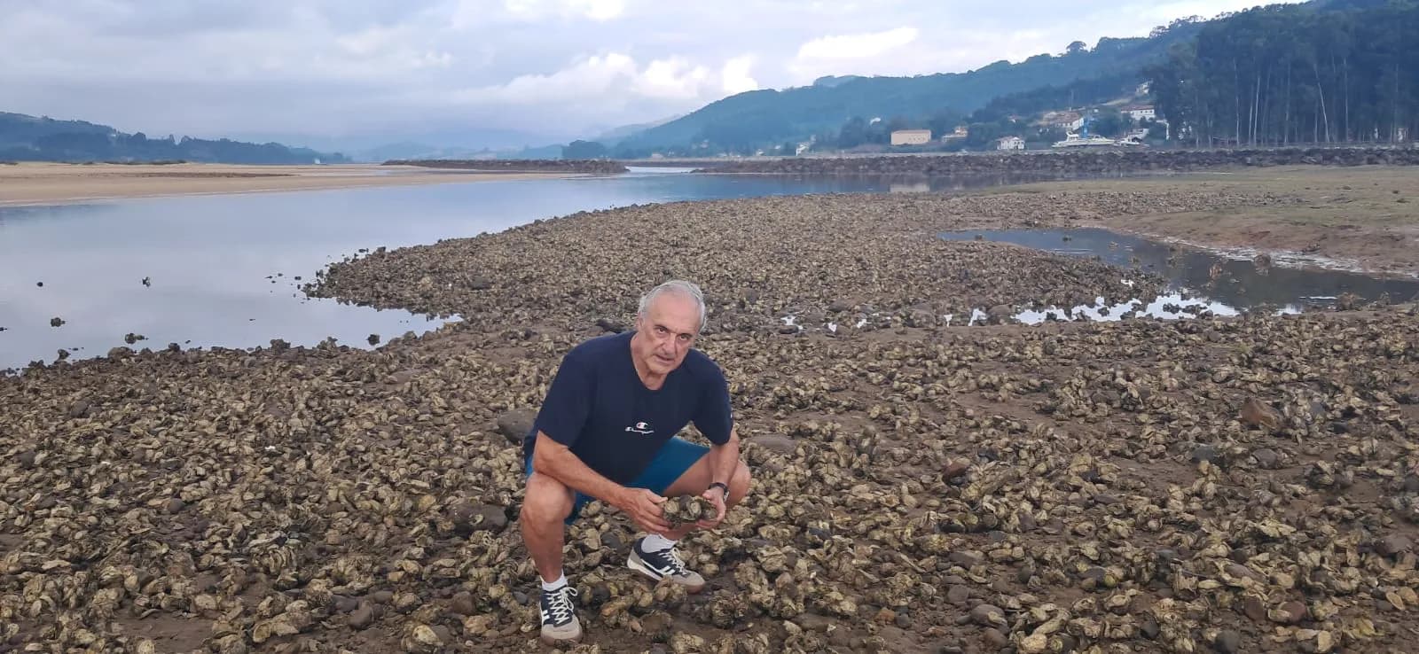 Consecuencias de la introducción de la ostra gigante en la ría de Villaviciosa
