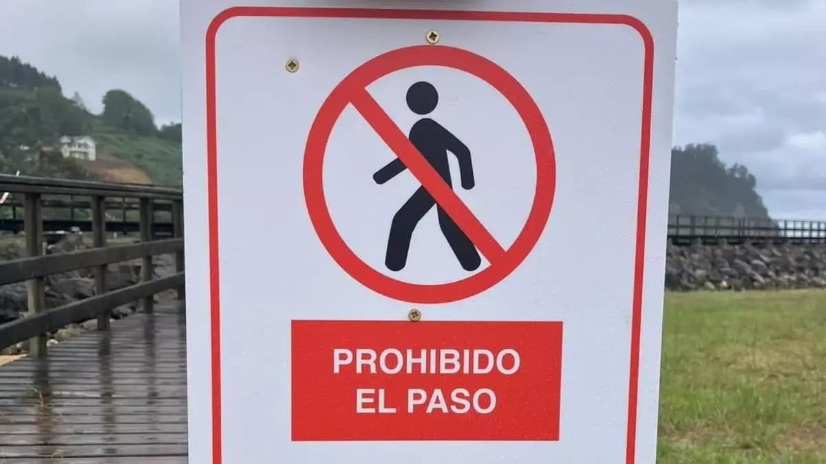 El Comercio: «Se ha ignorado el valor de los porreos de Villaviciosa»